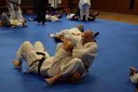 Bild (43)